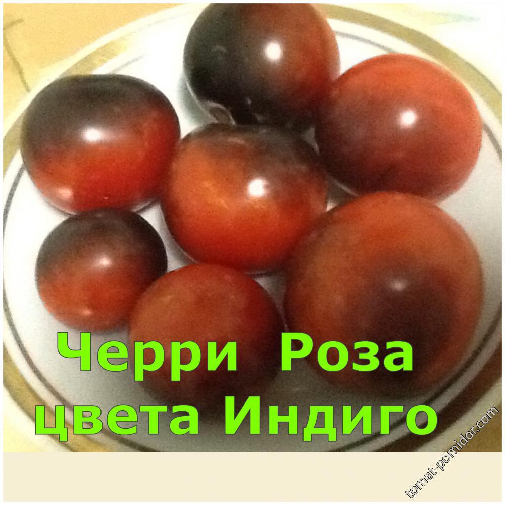 Черри Роза цвета Индиго