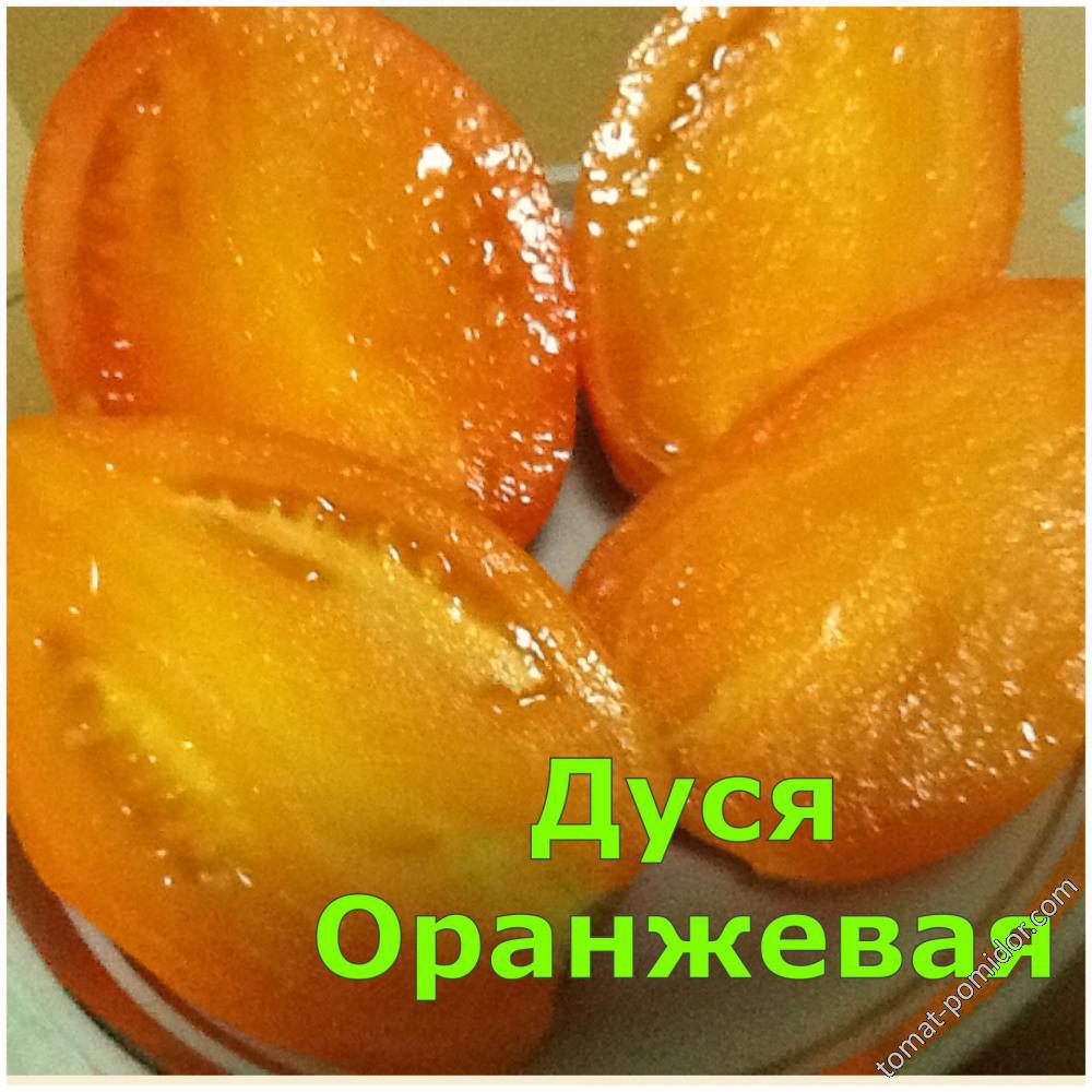 Дуся Оранжевая