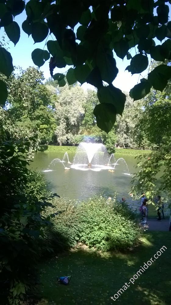 В Петергофе