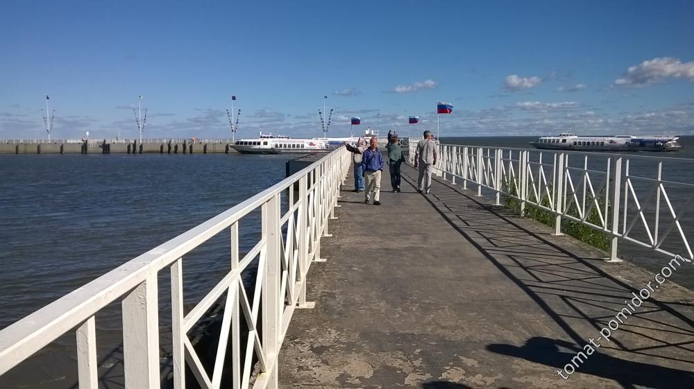 Финский залив