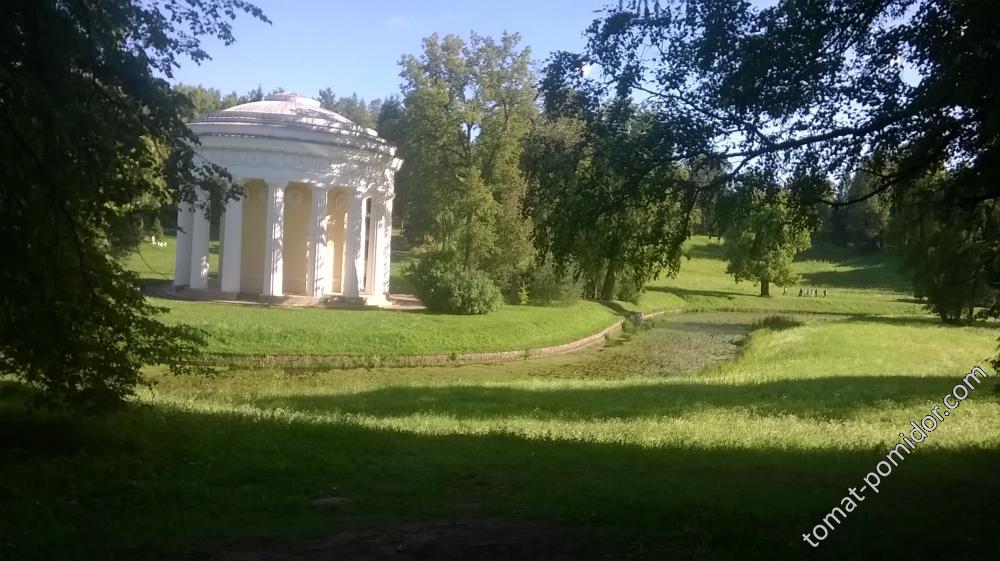 Беседка в Павловском парке