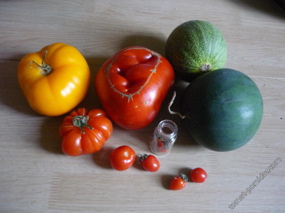 Маленькие арбузы и большие помидоры