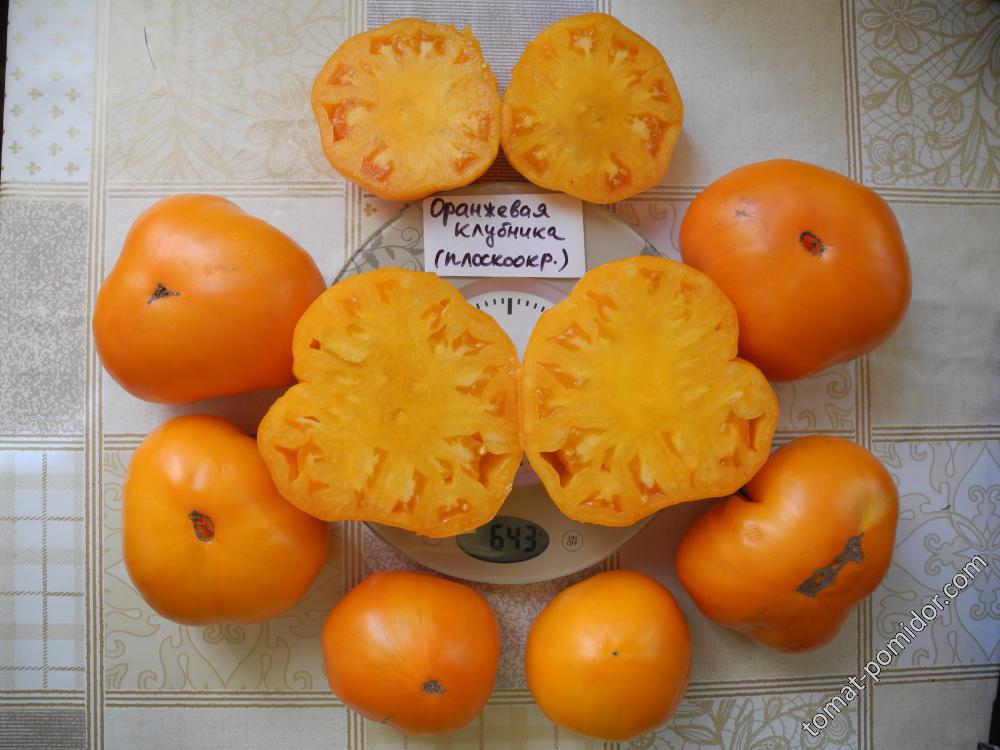 Сорт томата оранжевая клубника