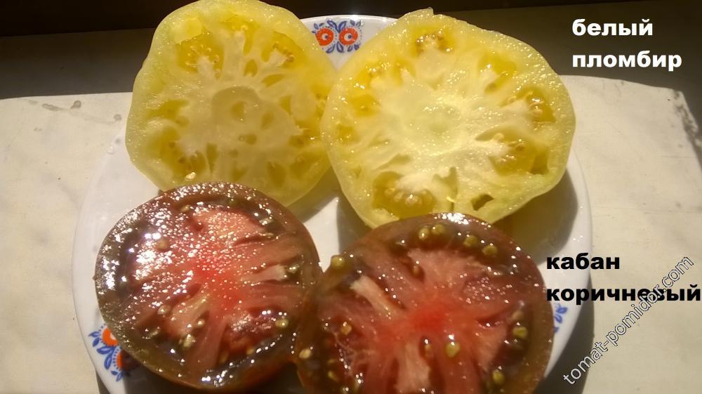помидоры Натальи Курниковой