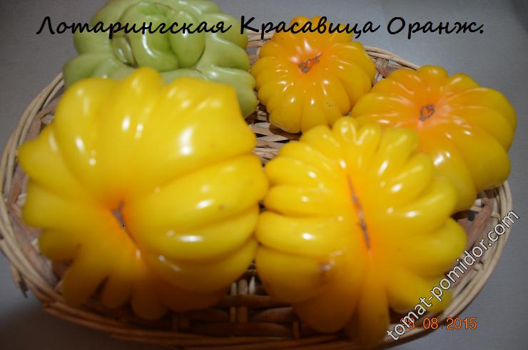 Лотарингская Красавица