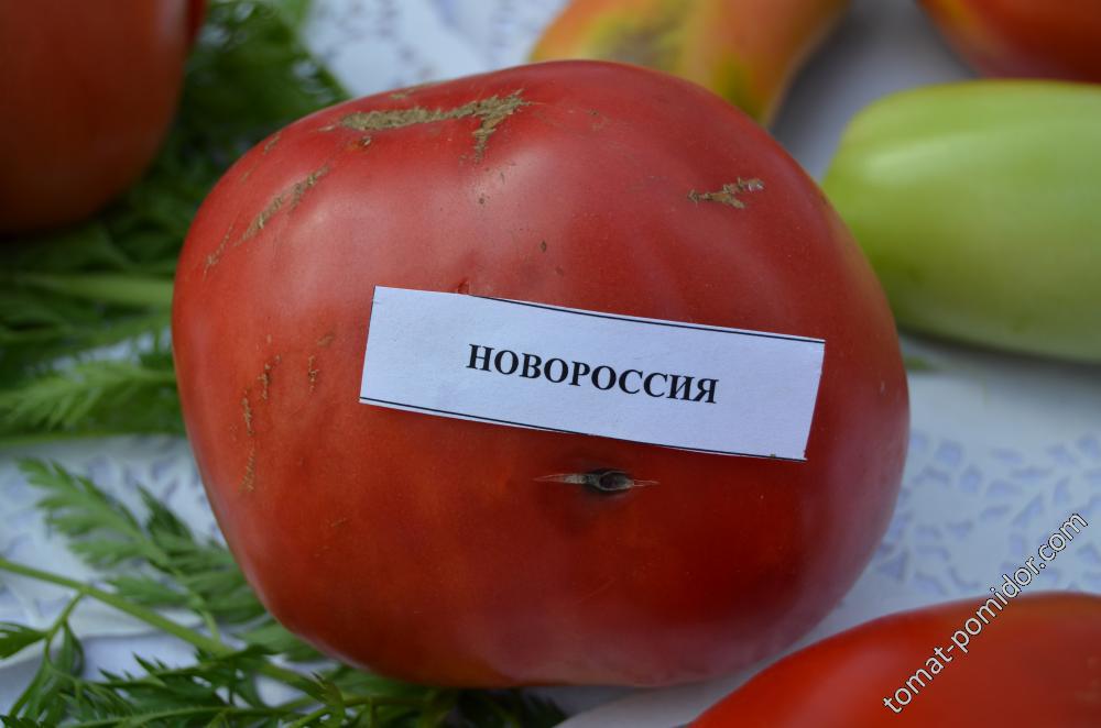 Новороссия