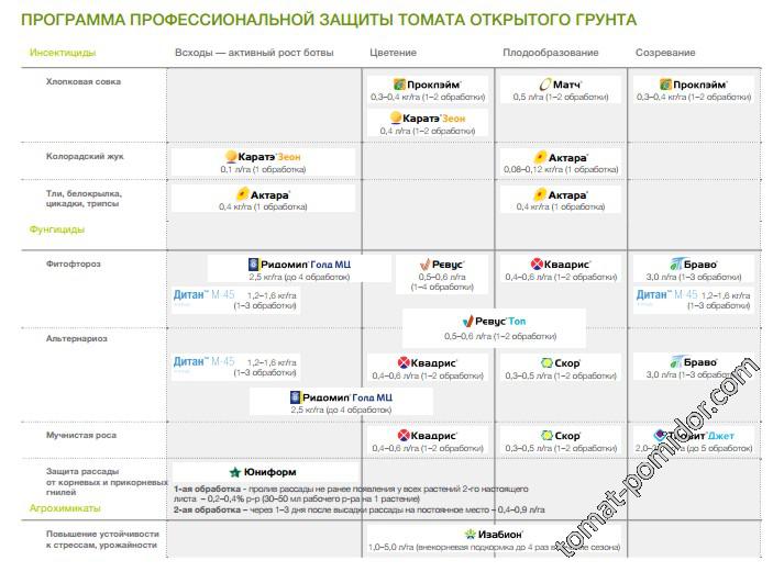 Сингента - защита томатов