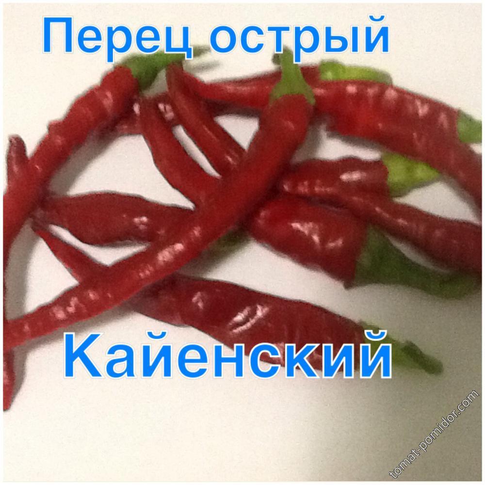 Перец острый