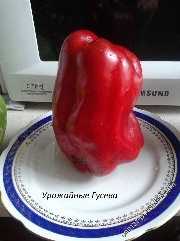 Урожайные Гусева