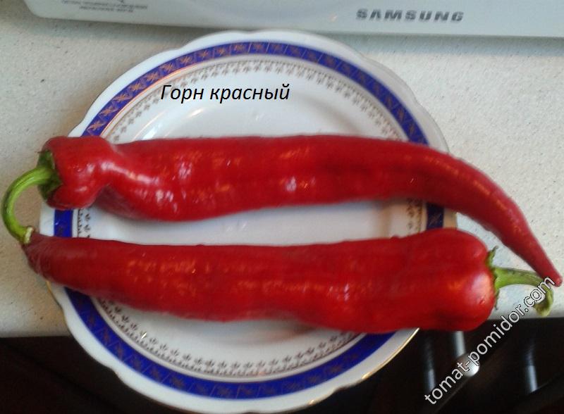 Горн красный