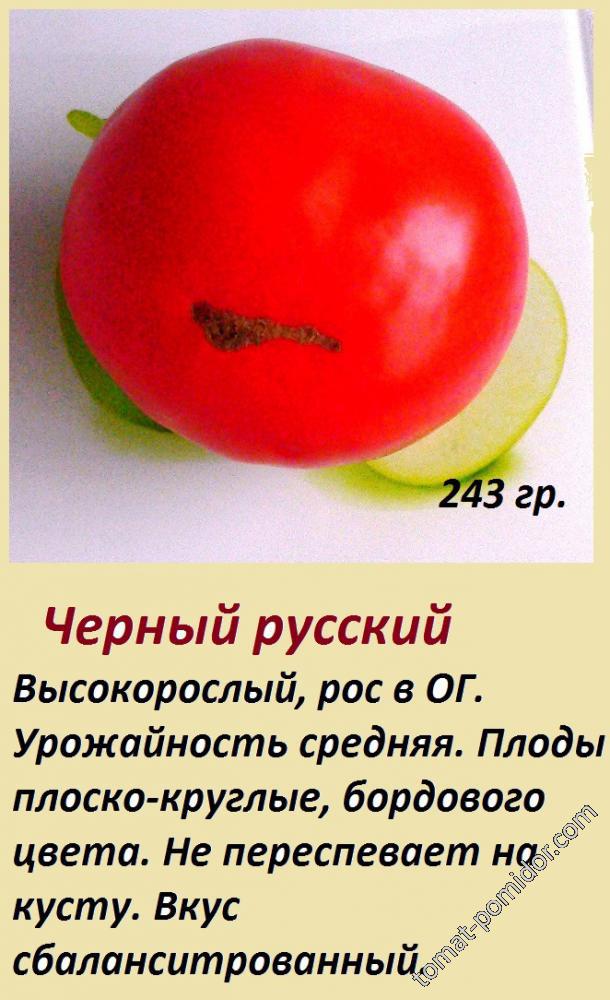 Черный русский