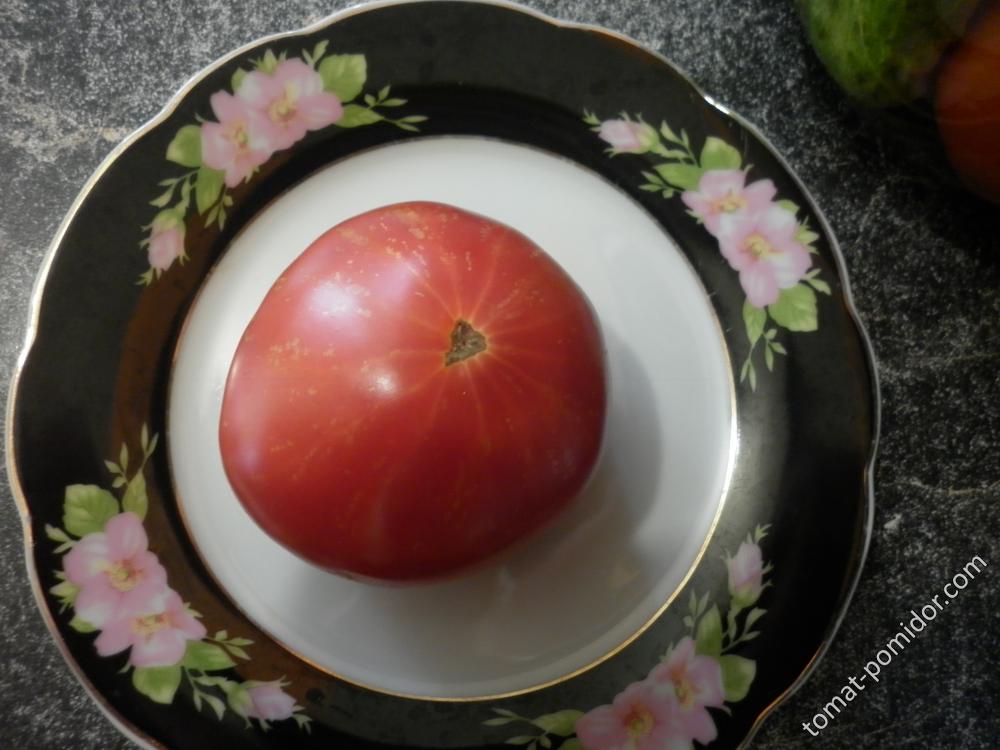 Из семян Гигантисики