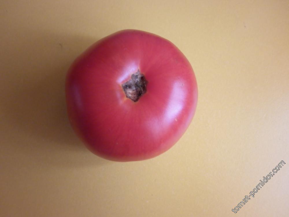 Неизвестный с яблочным узором(пересорт)