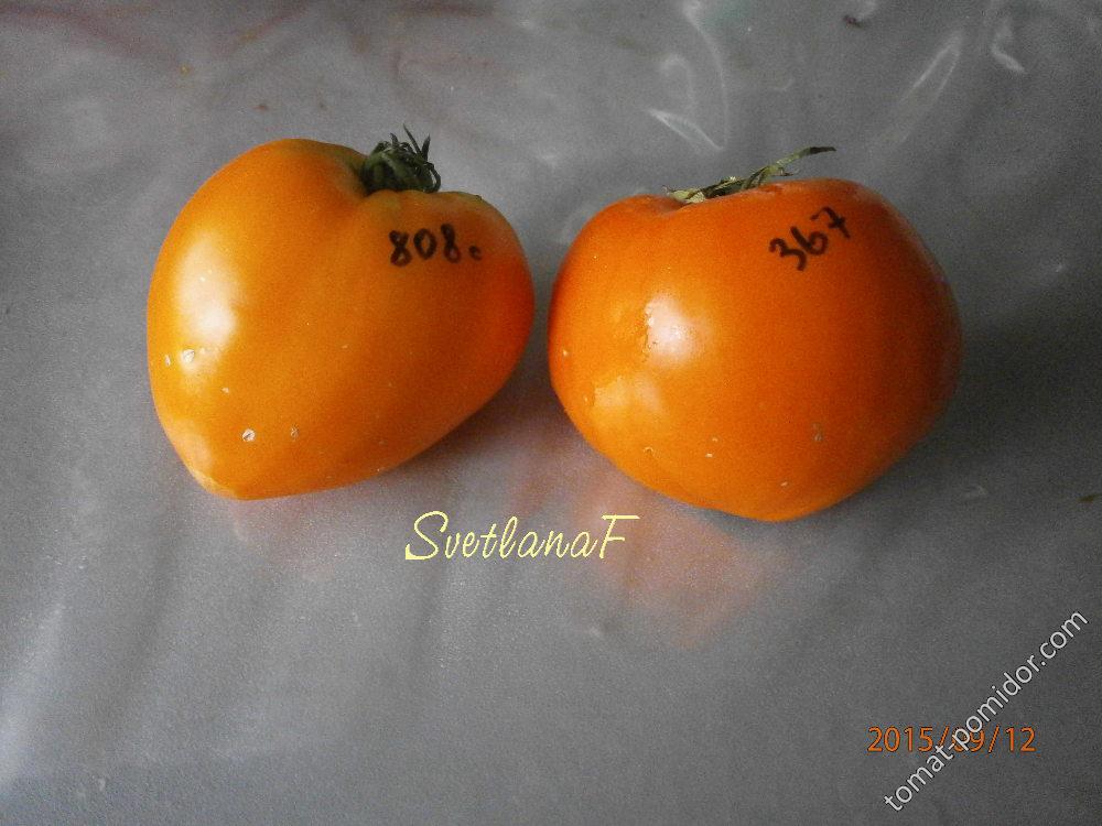 Оранжевая ягода (слева) и клубника