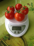 Кроха - К — сорта томатов - tomat-pomidor.com - отзывы на форуме