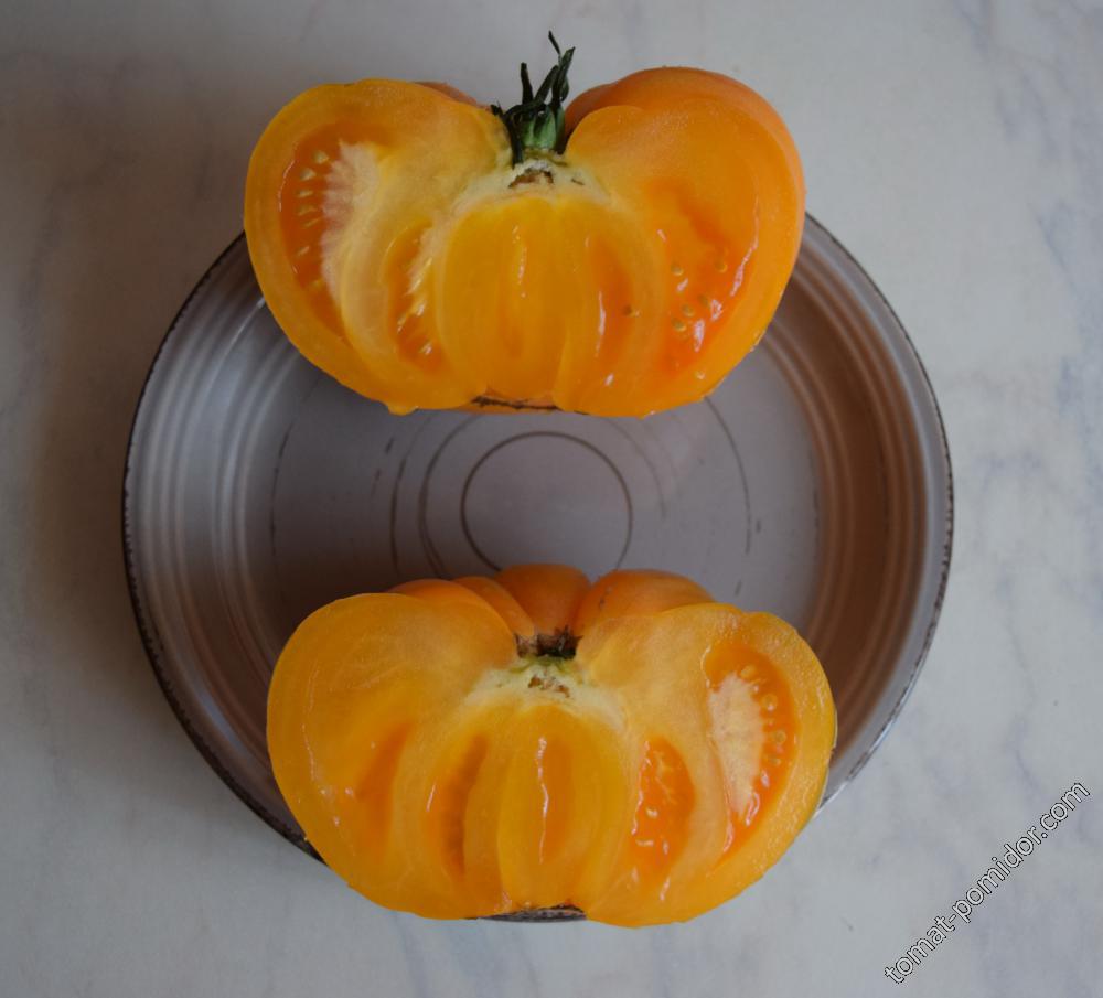 Абрикосовый брендивайн (Apricot Brandywine)