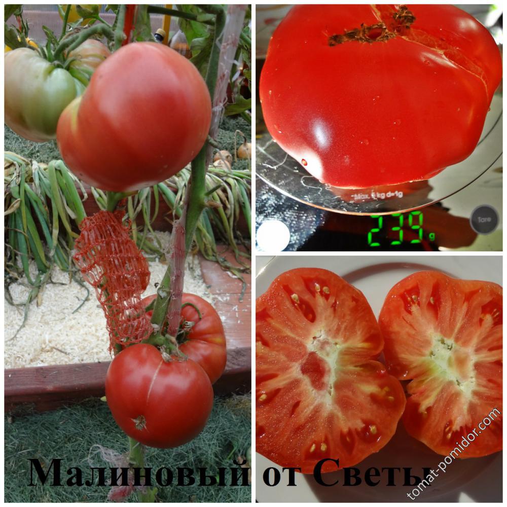 Малиновый от Светы