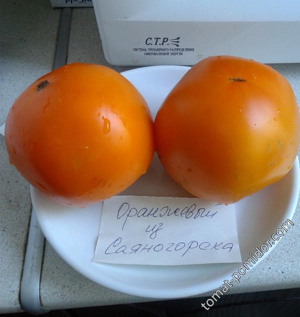 Оранжевый из Саяногорска