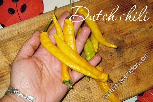 Dutch Chili