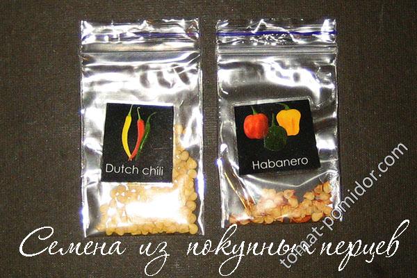 Есть семена Dutch Chili и Habanero