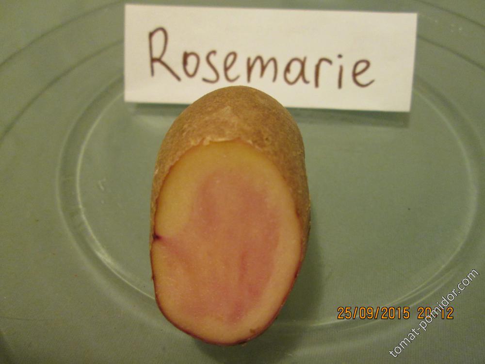 Rosemarie