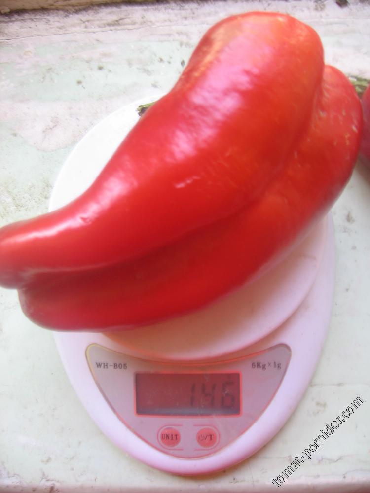 Перец Маркони