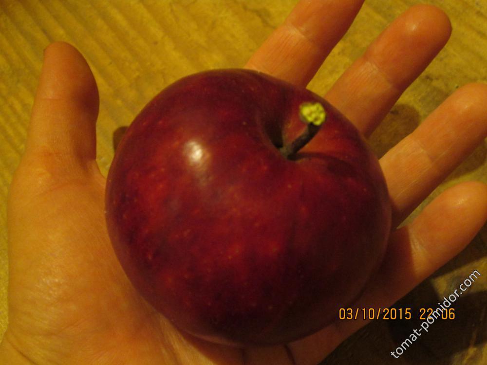 Серия Redlove
