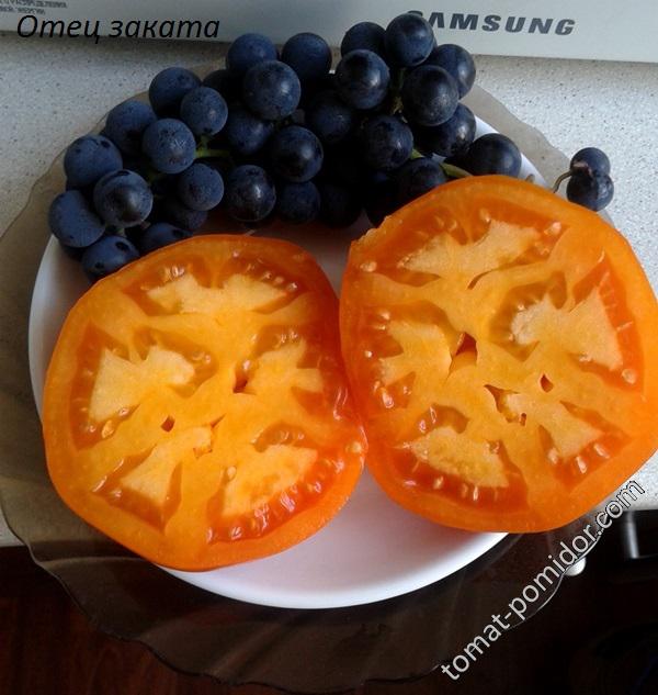 Желтоплодные и оранжевые сорта