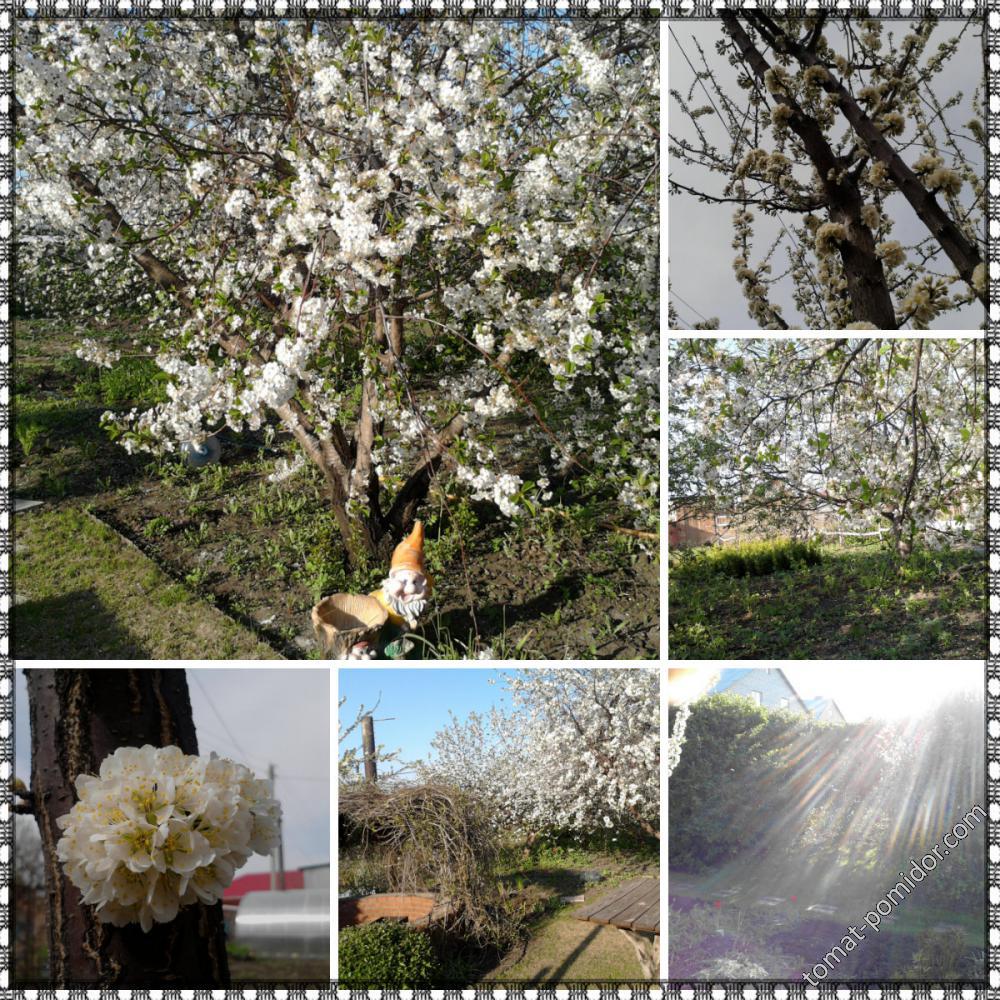 Скоро весна!:)))