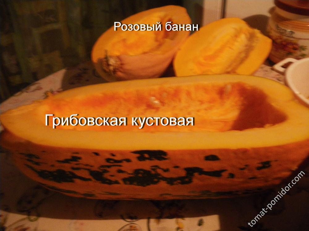 Грибовская кустовая