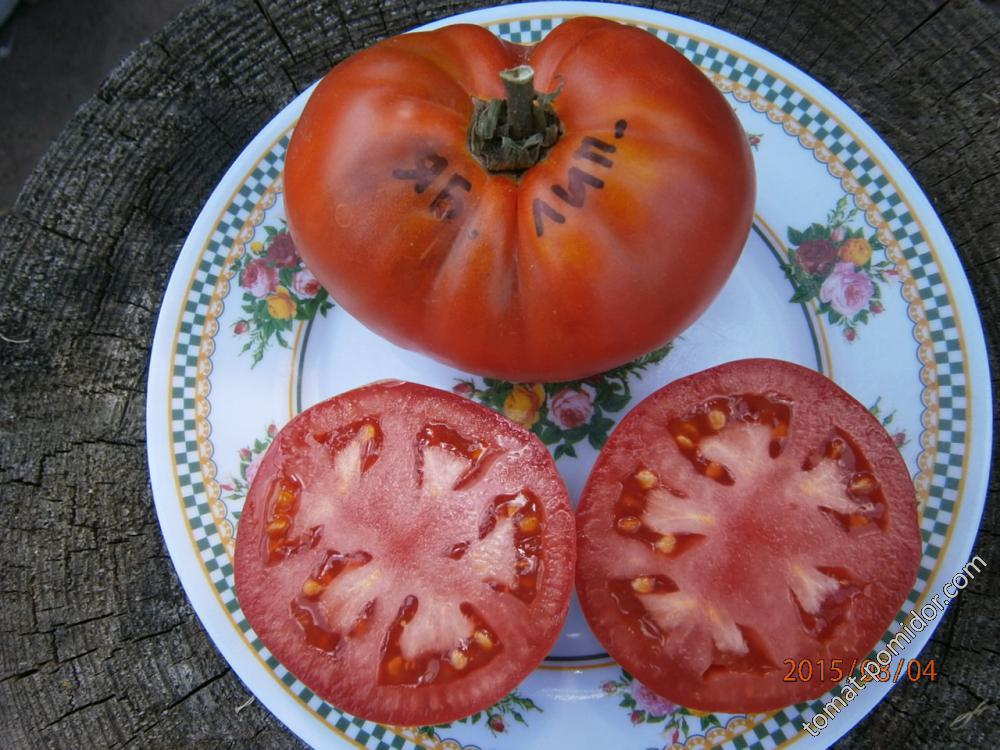 Яблочный липецкий.