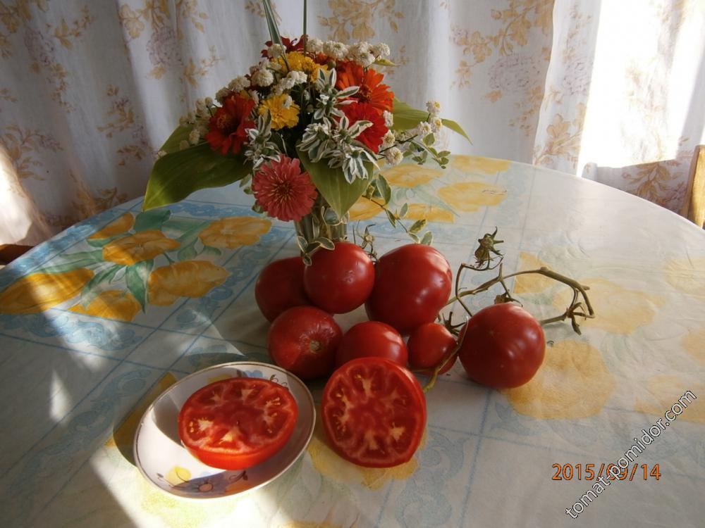 Махитос F1.
