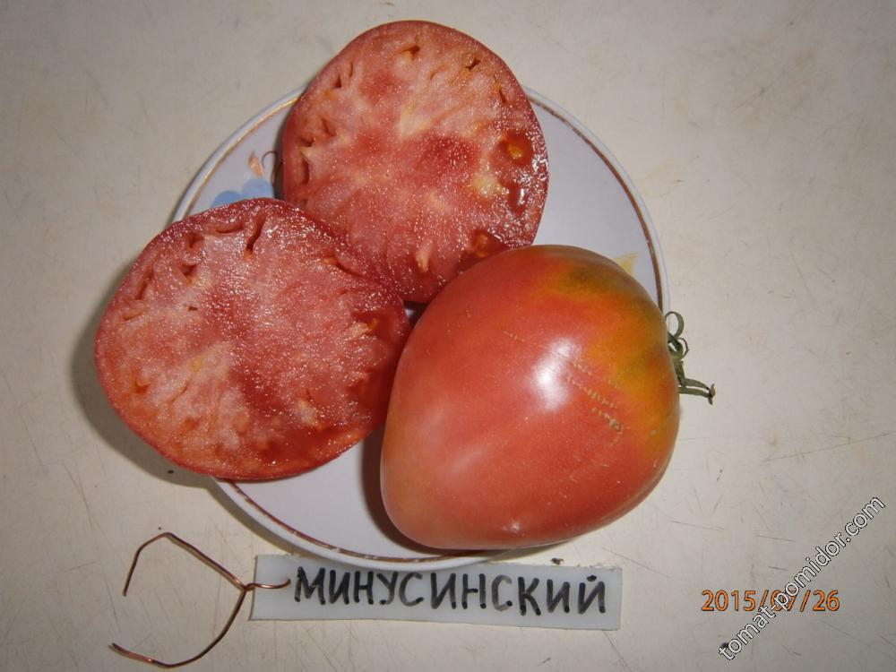 Минусинский.