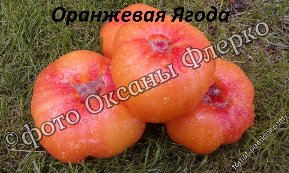 Оранжевая Ягода