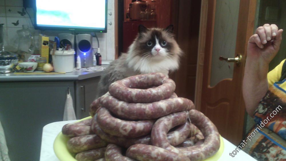 С2