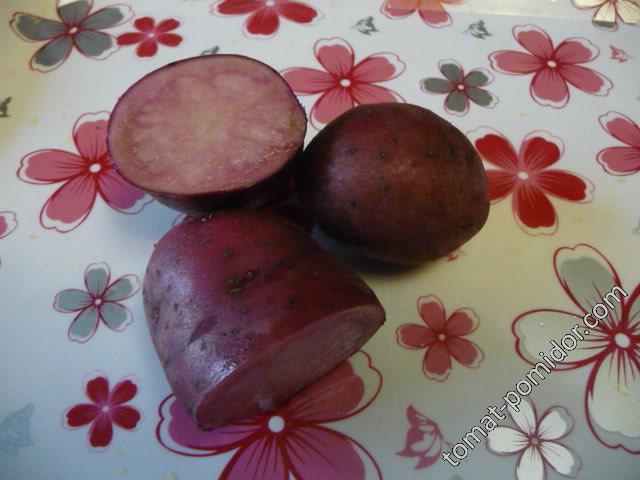 Картофель Малина