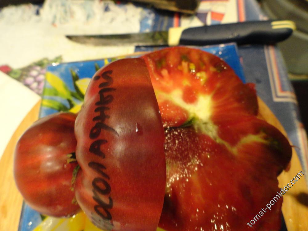 Мои помидорки 2015