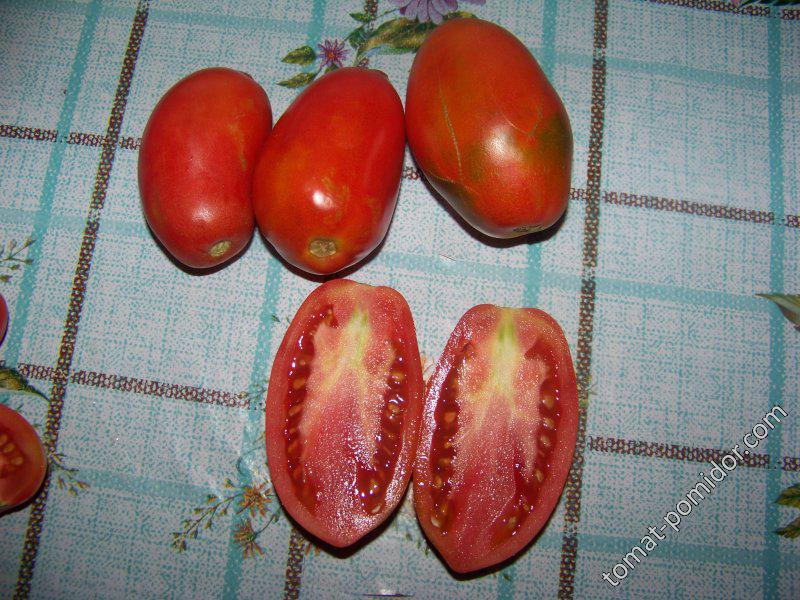 Вельможа - В — сорта томатов - tomat-pomidor.com - отзывы на форуме