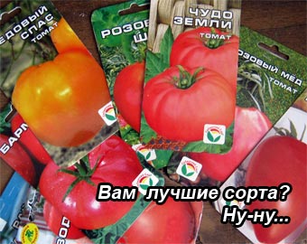 Лучшие сорта томатов. Для начинающих. - Сорта томатов - tomat-pomidor.com
