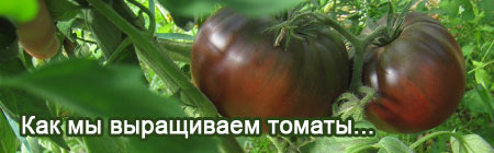 logo logo.jpg