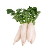 daikon-2