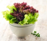 salat-podzim-2
