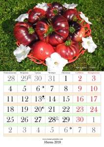 06-jun-212x300.jpg
